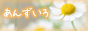 񂸂낁~...qi傤jB
fނtHgȂǂzzĂTCgłB
炵AăVbNȃtHgƑfނ͕KłB
